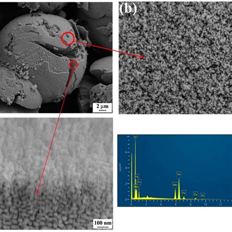 Ac Sem Micrographs Of Synthesized Mnzn Ferrite With Hierarchical