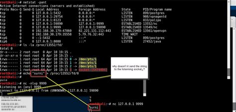 [43 ] Socket Connection Error Linux