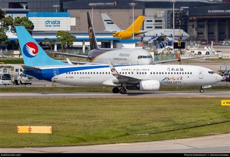 Aircraft Photo Of B 1366 Boeing 737 800 Hebei Airlines AirHistory