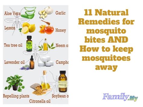 11 Natural Remedies For Mosquito Bites And How To Keep Mosquitoes Away