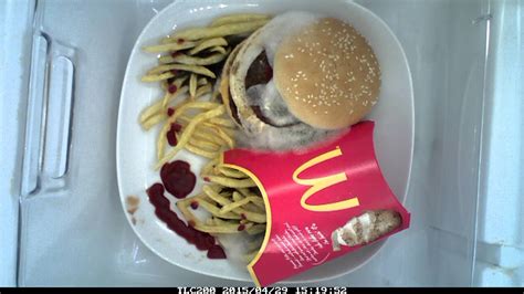 Food Rotting Big Mac With Fries Youtube