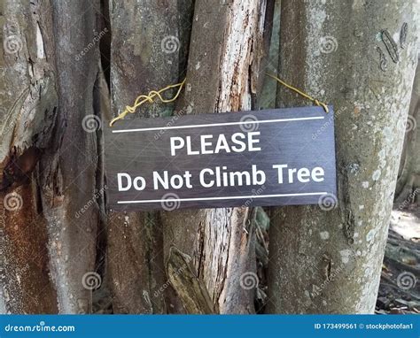 Brown Please Do Not Climb Tree Sign On Tree Stock Image Image Of Bark