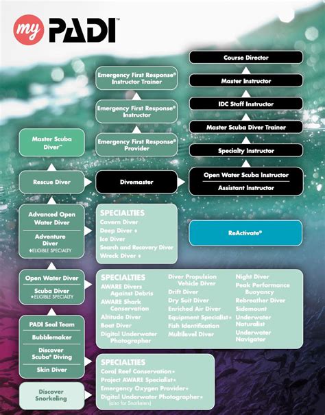 What Are The Padi Certification Levels