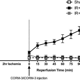 The Effect Of Carbon Monoxide CO Releasing Molecule 3 CORM 3 On