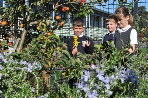 Old Sarum Primary School Pastoral Care