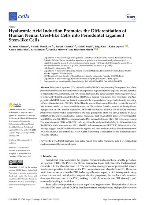 Pdf Hyaluronic Acid Induction Promotes The Differentiation Of Human