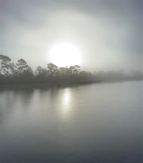 Foggy sunrise from a lake in Florida : r/sunrise