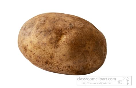 Potatoes Clipart Photo Image Single Potato With White Background