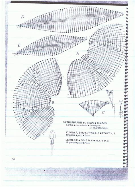 Encaje De Bolillos Picados Puntillas Exposiciones Consejos Y