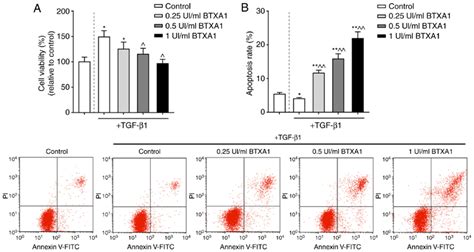 Btxa Suppresses Fibroblast Viability And Promotes Apoptosis A Btxa