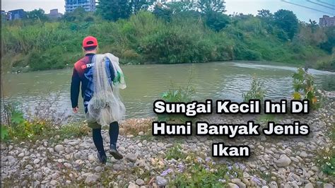 Rejeki Nomplok Jala Ikan Di Sungai Kecil Yang Banyak Di Huni