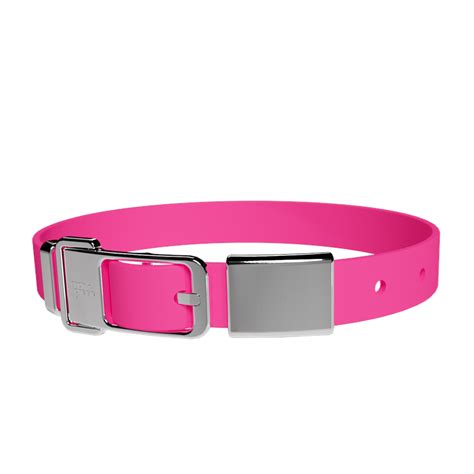 Pet Collar + Name Tag Large - Collar: Neon Pink | Frank Green | Matchbox