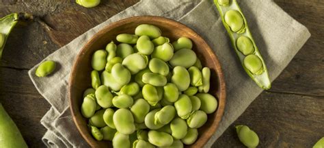 Fava Beans Benefits, Nutrition, Recipes and Side Effects - Dr. Axe