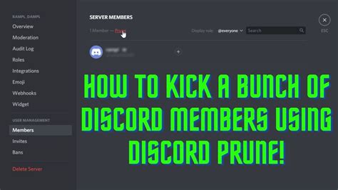 How To Kick Unwanted Members In Discord Using Pruning YouTube