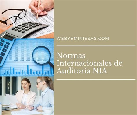 Normas Internacionales De Auditor A Nia Web Y Empresas