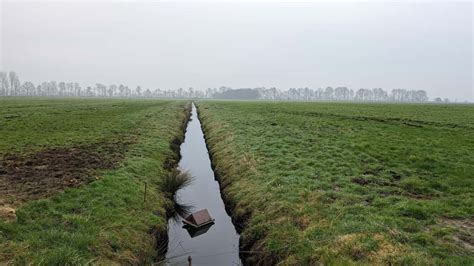 Forschungsprojekt Zu Moorschutz Und Milchwirtschaft Startet Landwirt