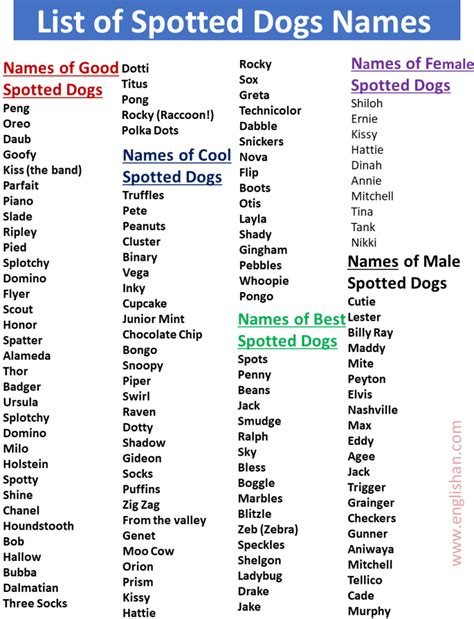 300+ Spotted Dogs Names List in English • Englishan