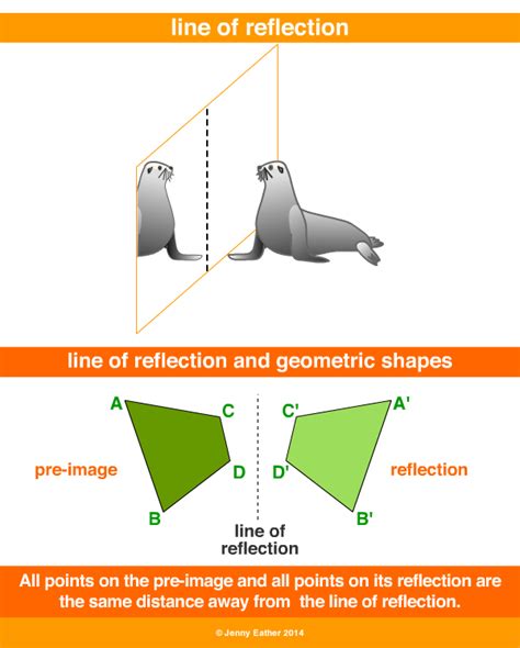 line of reflection ~ A Maths Dictionary for Kids Quick Reference by ...