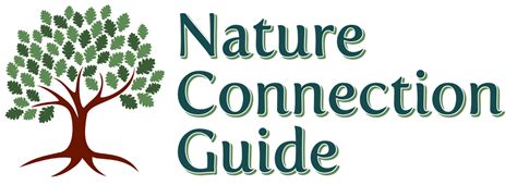 Nature Connection Guide