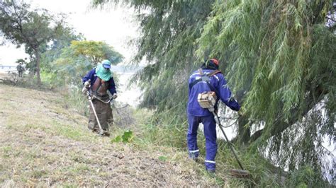 Intenso trabajo de desmalezamiento de la costa del río Dulce Diario