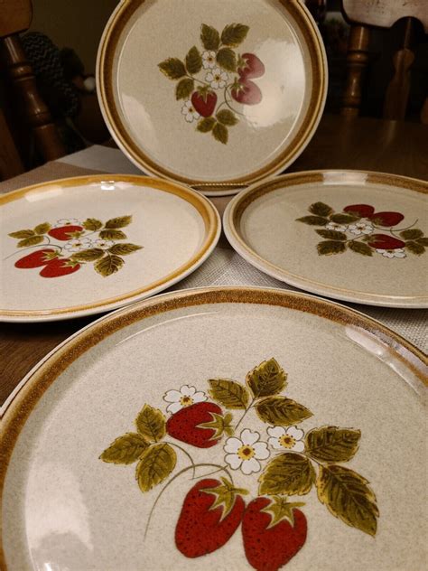 Set Of Mikasa Stone Manor Luscious Dinner Plates Retro Vintage