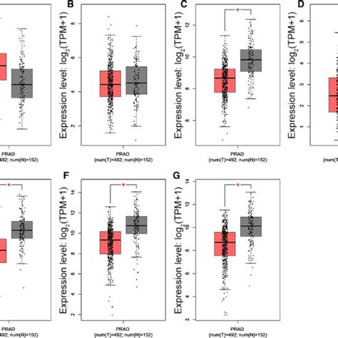 The Expression Of Hub Genes Between Normal Prostate And Pca Samples