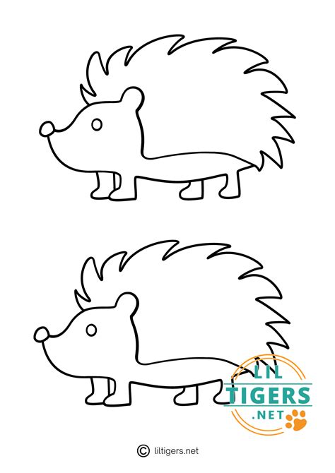 Hedgehog Template