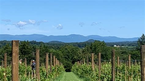 Woodbrook Farm Vineyard — Monticello Wine Trail