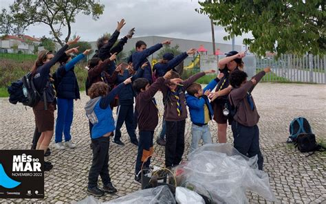 Escoteiros Efetuaram Recolha De Lixo Em Ribeira De Abrantes M Dio Tejo