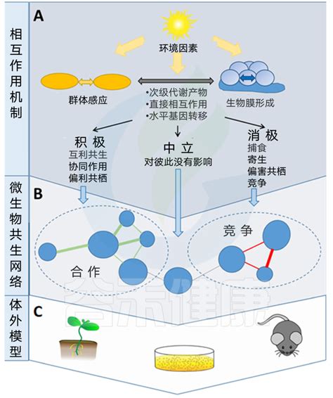 微生物群和微生物组有区别吗本文带你详细了解它们的前世今生 谷禾健康