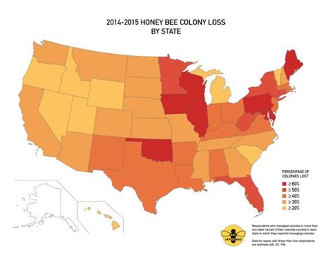 U S Beekeepers Lost 40 Percent Of Bees In 2014 15 Bee Keeping Bee