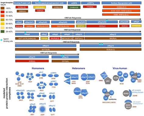 Structural Genomics And Interactomics Road Map Shown Are The