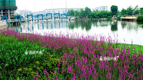 漂浮移动湿地生态修复技术用于河道治理漂浮湿地上海欧保环境021 58129802