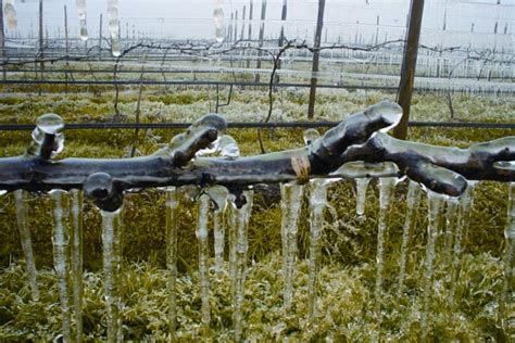 CONTROL DE HELADAS Fumex