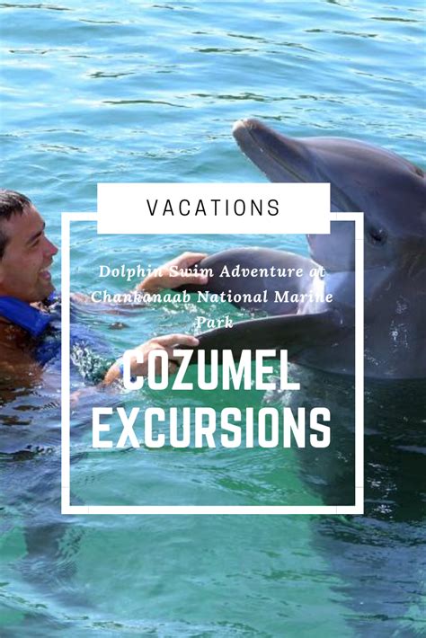 This Dolphin Swim Adventure Program At Chankanaab National Marine Park