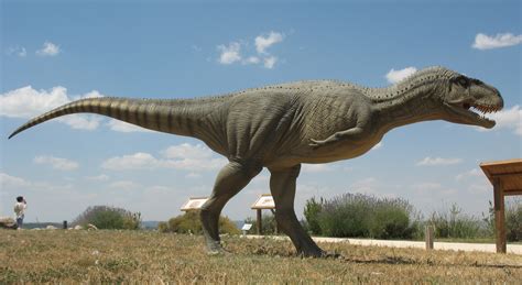 Archivo Abelisaurus Model Castilla La Mancha Paleontological Museum