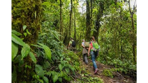 Full Day Mindo Cloud Forest Adventure Tour