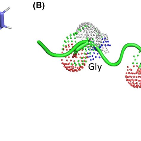 3d Modeling Of Triple Helix Segments And Thermodynamic Stability