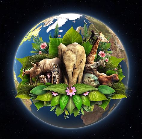 Happy Earth Day 2015 Divine Organics