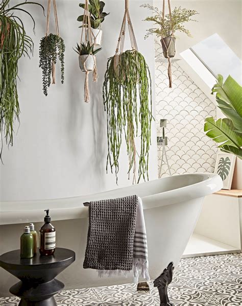 Bathroom Hanging Plants That Absorb Moisture Ztech