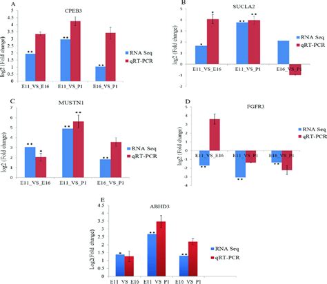 RT QPCR Validation Of Five Differentially Expressed MRNA In Three