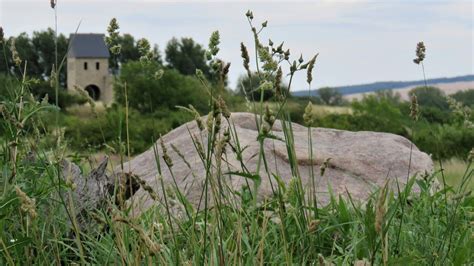 Sonnige Auszeit im Kreis Wolfenbüttel Top Ausflugstipps