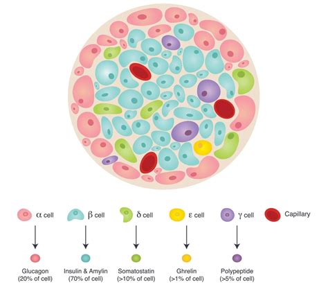 Sancho Lab - Our Research | Feature from King's College London