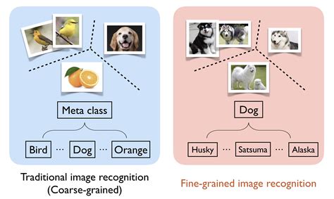 Fine Grained Recognition Without Part Annotations At Richard Mcnew Blog