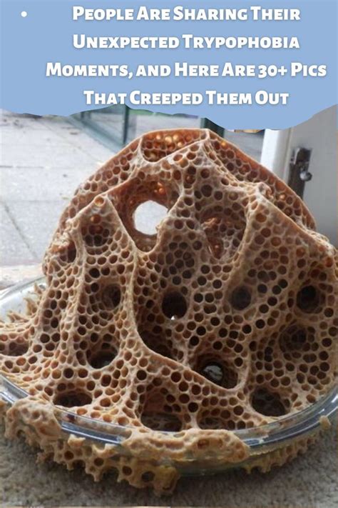 People Are Sharing Their Unexpected Trypophobia Moments And Here Are 30 Pics That Creeped Them