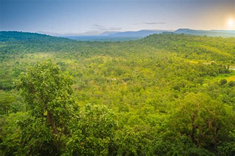 Peaceful Landscape of Green Forest and Sunrise or Sunset Over Mo Stock Photo - Image of life ...