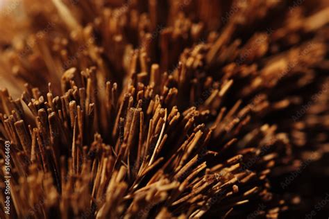 Macro photography of Brown brush bristles natural material Stock Photo | Adobe Stock