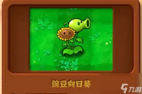 植物大战僵尸杂交版植物图鉴大全 九游手机游戏