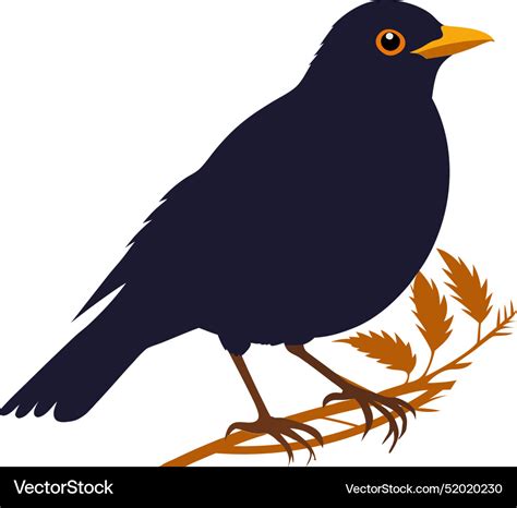 Blackbird standing on a branch 1 Royalty Free Vector Image