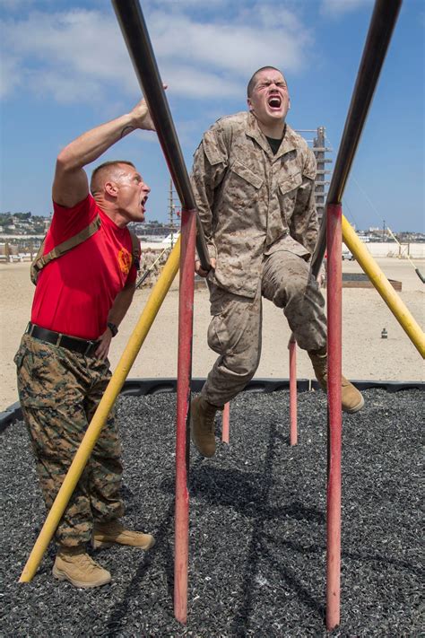 Dvids Images Delta Company Confidence Course Image Of